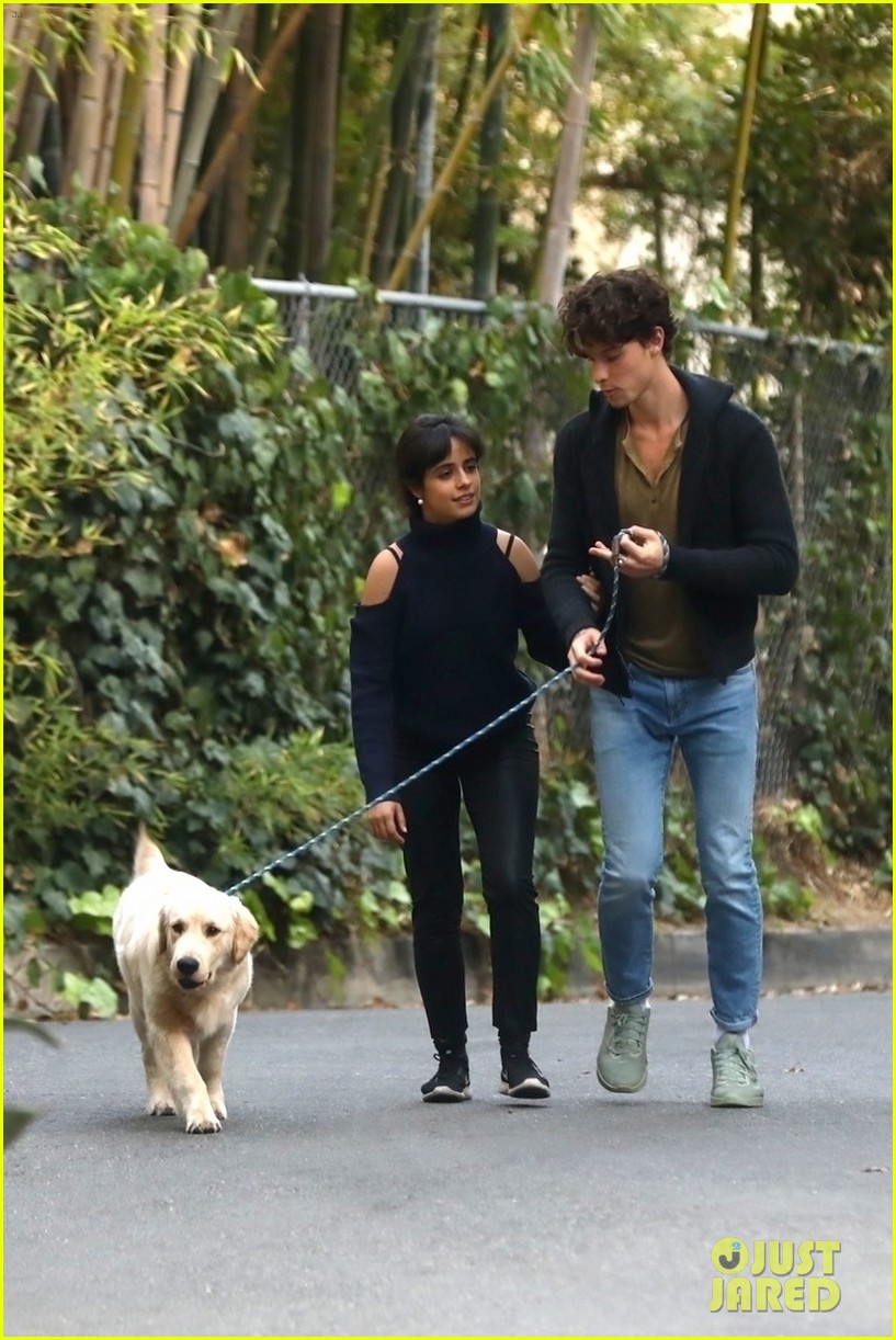 Shawn Mendes & Camila Cabello Share a Kiss While Walking Their Dog