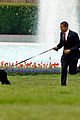 obamas mourn death of dog bo 10