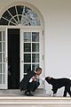 obamas mourn death of dog bo 29