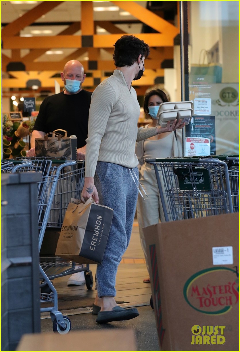 Shawn Mendes & Camila Cabello Grab Groceries Together in L.A. New