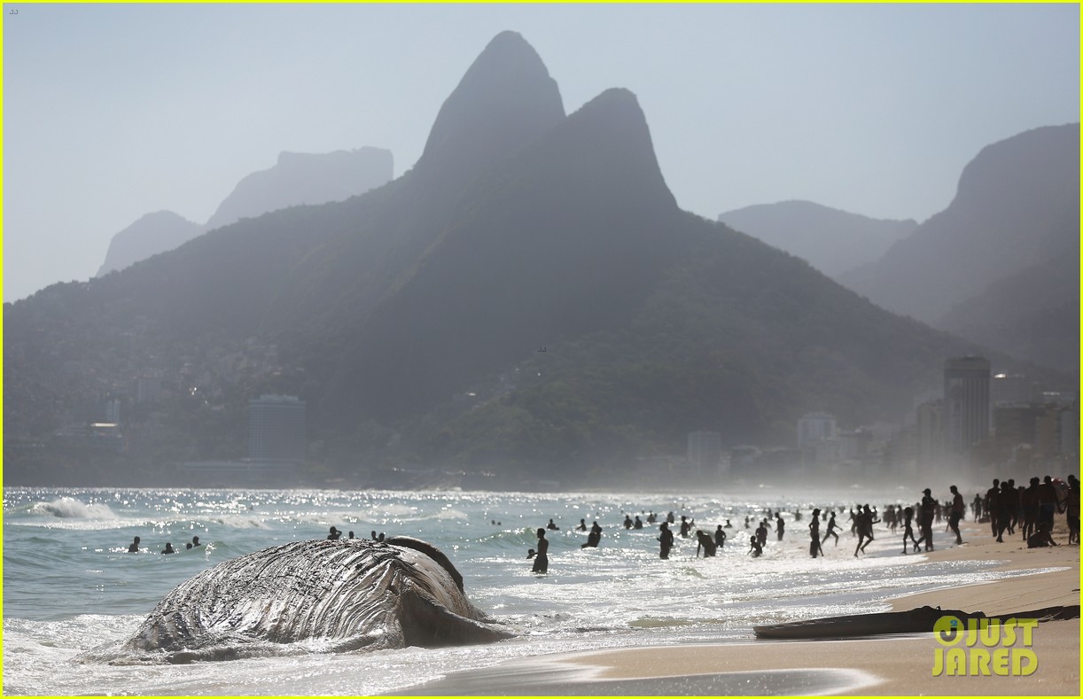 Lobster Diver Says He Was Trapped Inside Mouth of Humpback Whale, Lives
