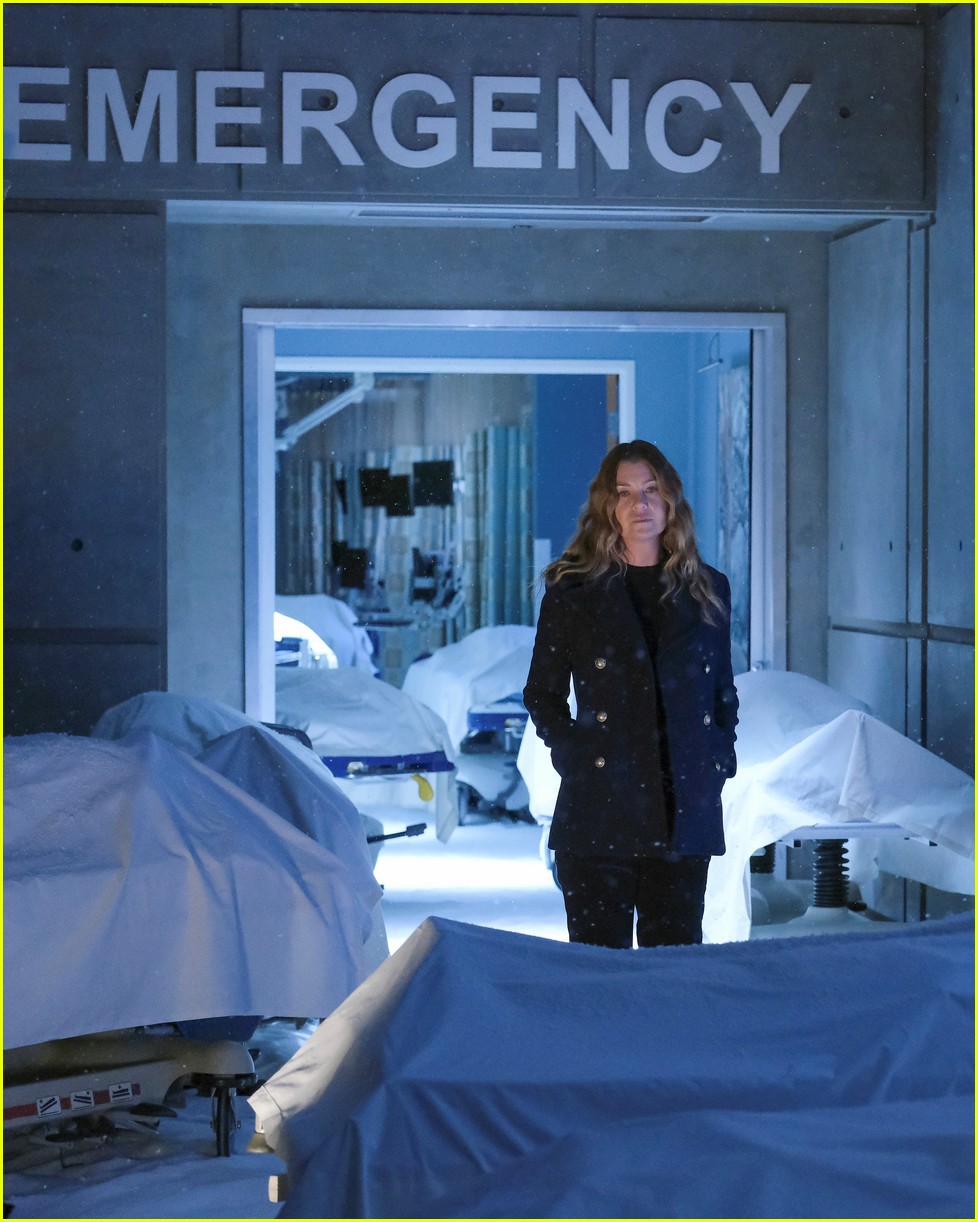 Ellen Pompeo Defends 'Grey's Anatomy' Fan Who Says They Didn't Like the(01)