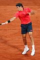 roger federer pulls out french open heres why 14