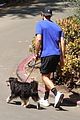 chace crawford walk with his dog 03