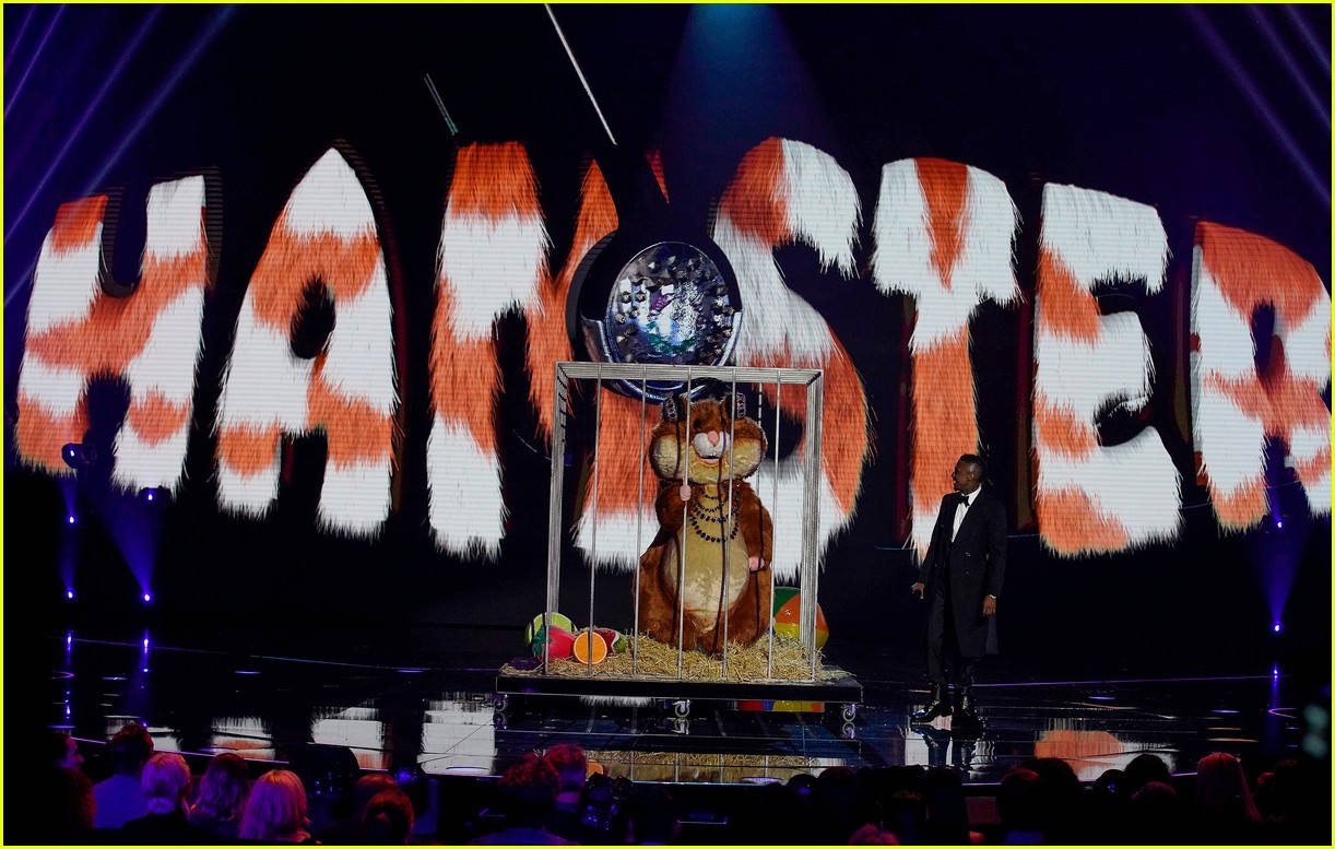 who is hamster the masked singer 024629734