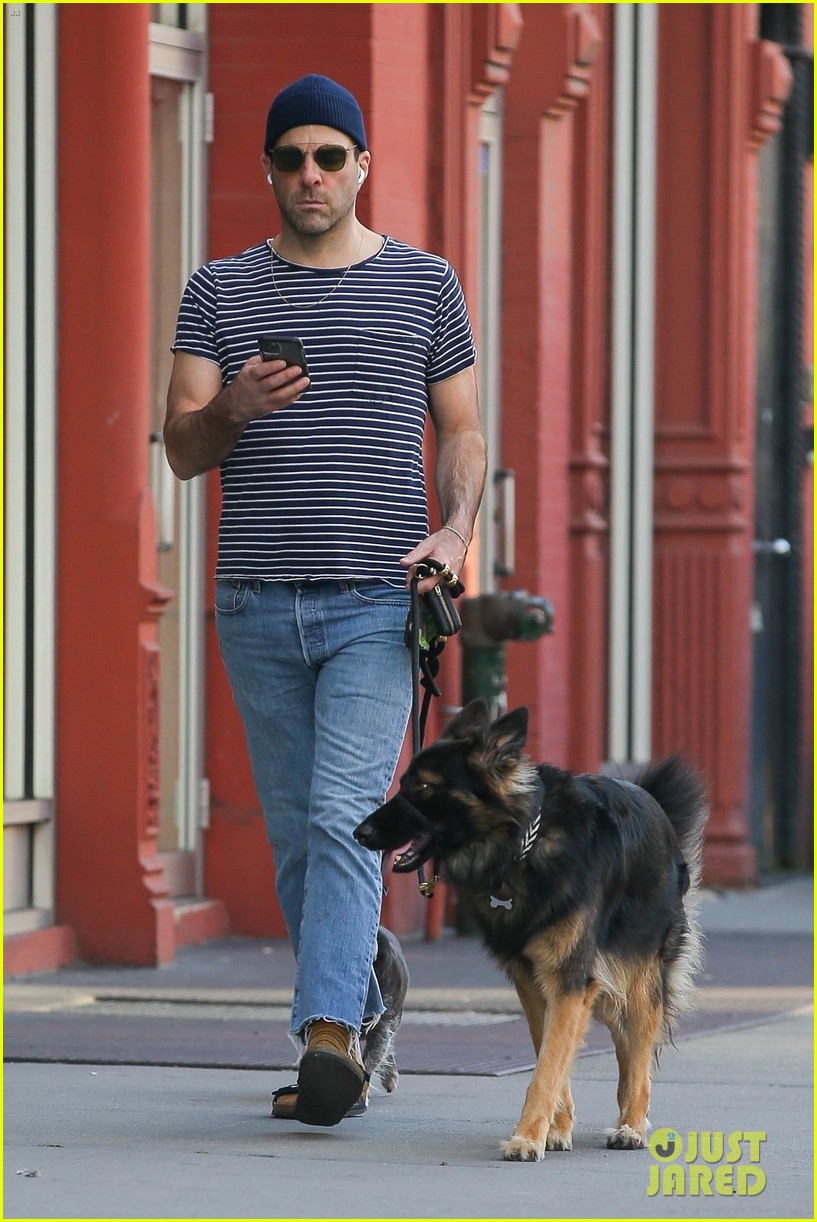 zachary quinto goes for a walk with his dogs nyc 014643945