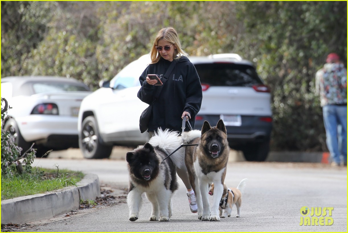 sarah michelle gellar takes her dogs for afternoon walk 174683886