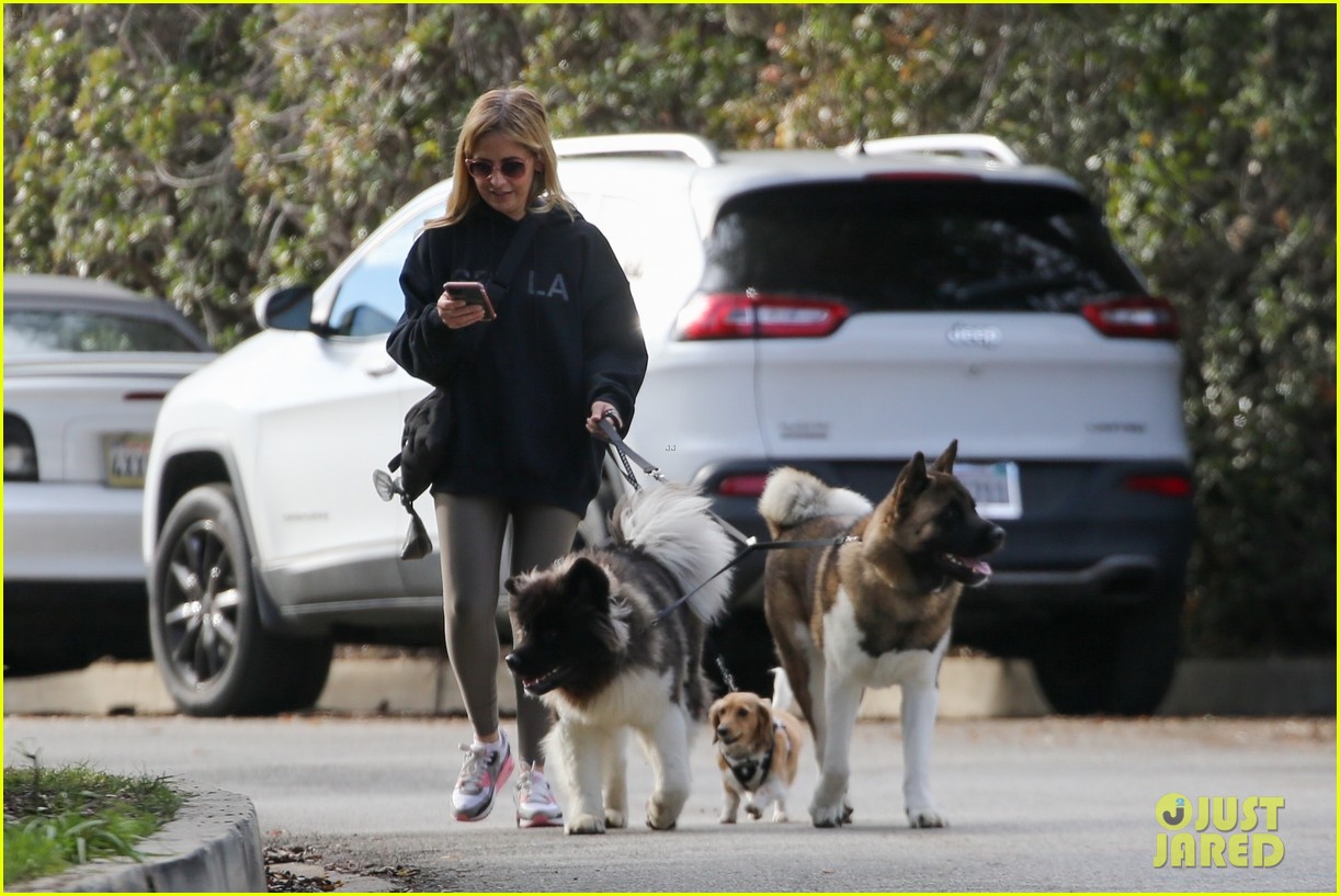 sarah michelle gellar takes her dogs for afternoon walk 184683887