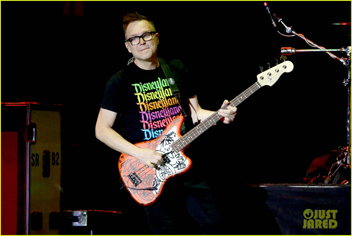 mark hoppus revealed cancer diagnosis by accident 044672226