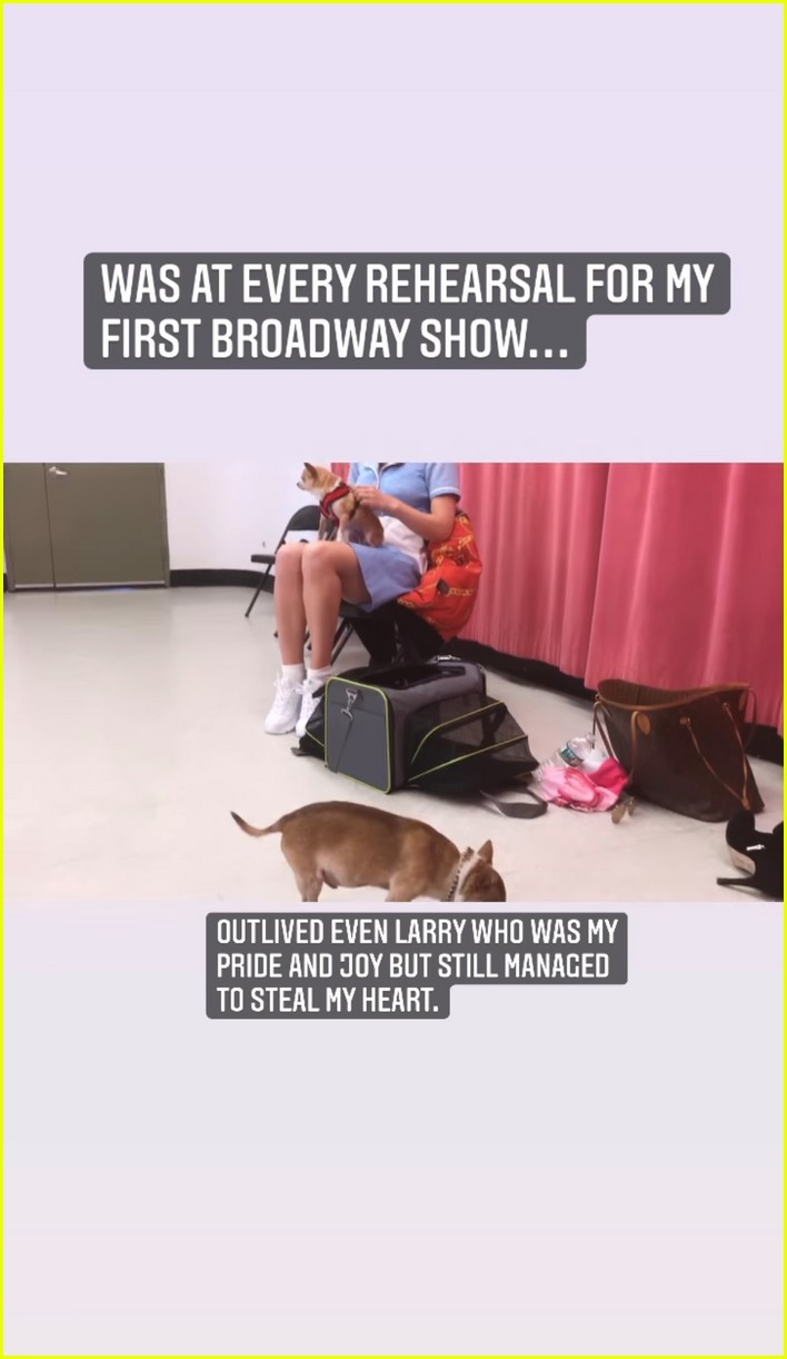 Katharine McPhee Mourns the Death of Her Rescue Dog Wilma Photo(02)