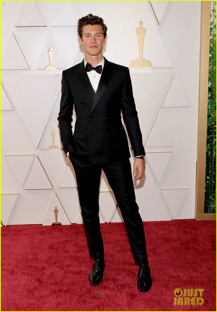 Shawn Mendes Reassures Fans After Admitting He Feels 'Overwhelmed