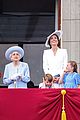 prince louis trooping the colour faces 09
