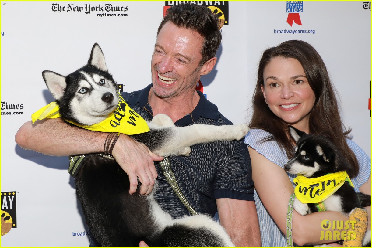 hugh jackman sutton foster cuddle with puppies at broadway barks event 014787557