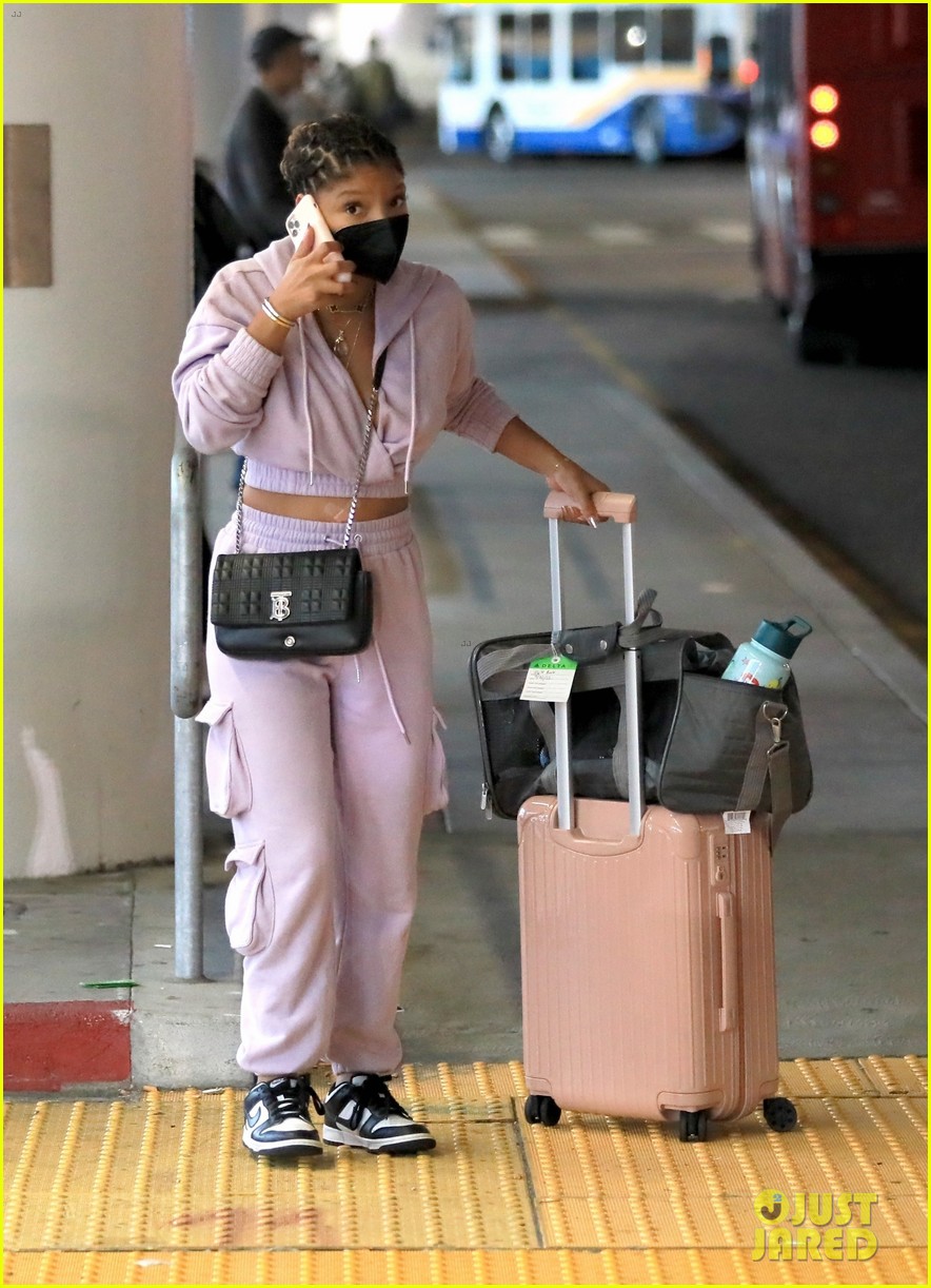 The Little Mermaid's Halle Bailey Spotted Traveling With Her Cat