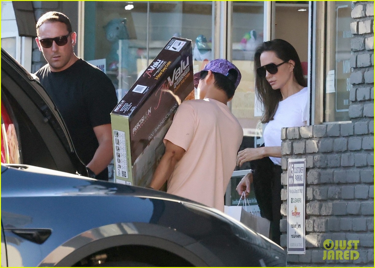angelina jolie dog shopping with son pax 24