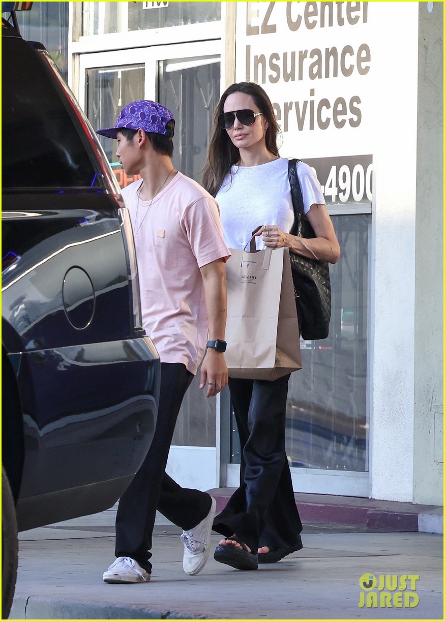 angelina jolie dog shopping with son pax 49