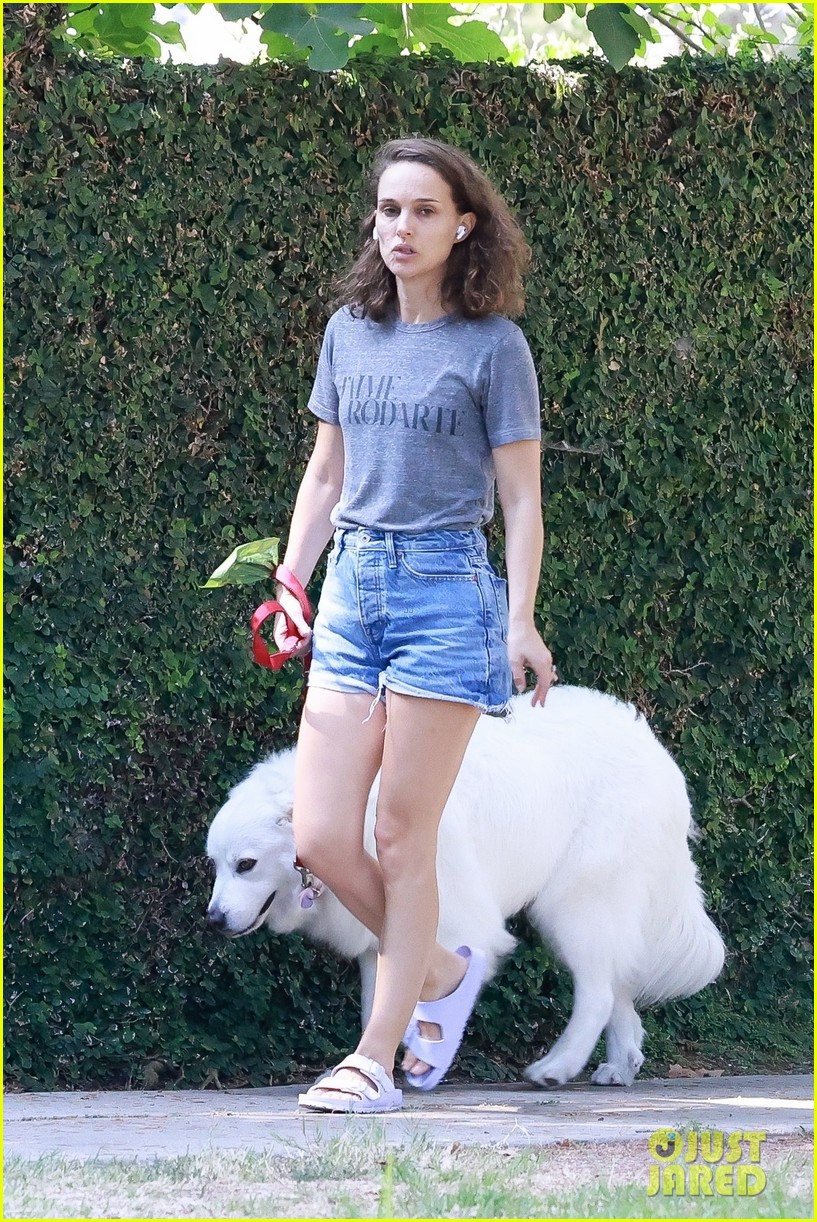 natalie portman takes her dog for a walk 014809758