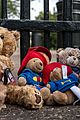 qeii paddington bears to be donated childrens hosp 01