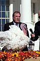 joe biden pardons two turkeys thanksgiving 02