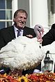 joe biden pardons two turkeys thanksgiving 04