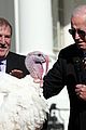 joe biden pardons two turkeys thanksgiving 18