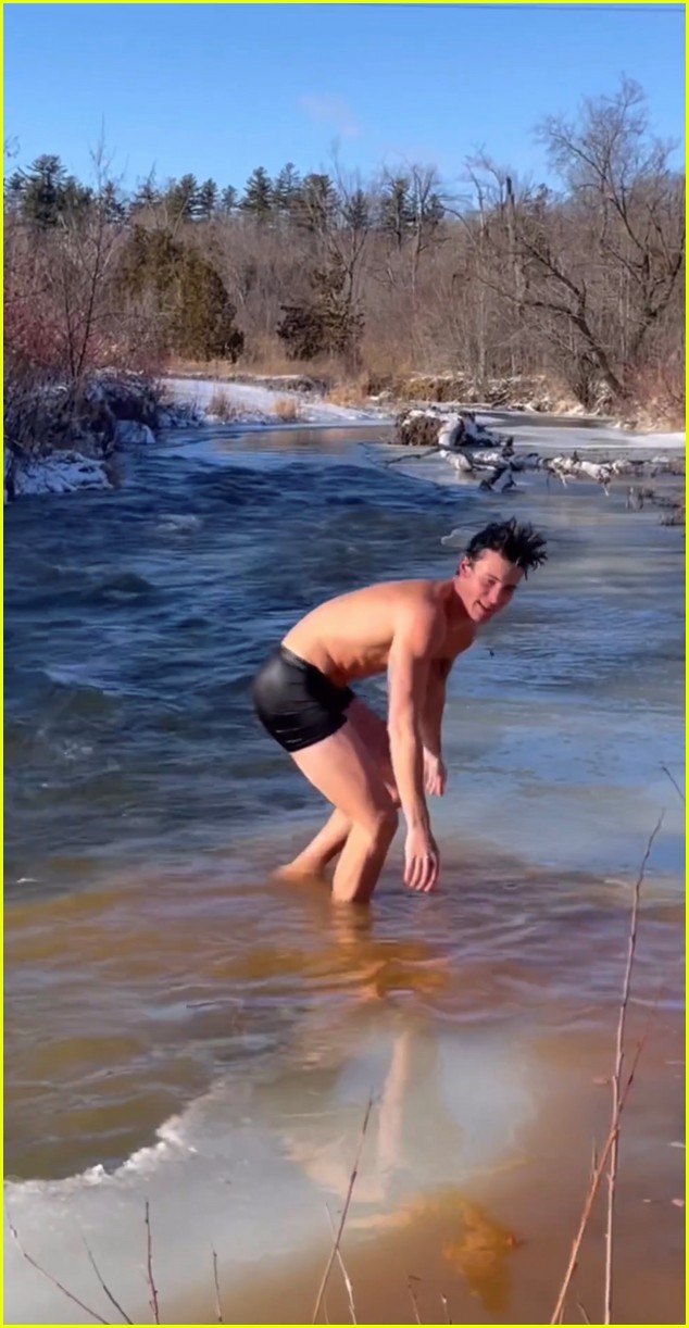 Shawn mendes christmas