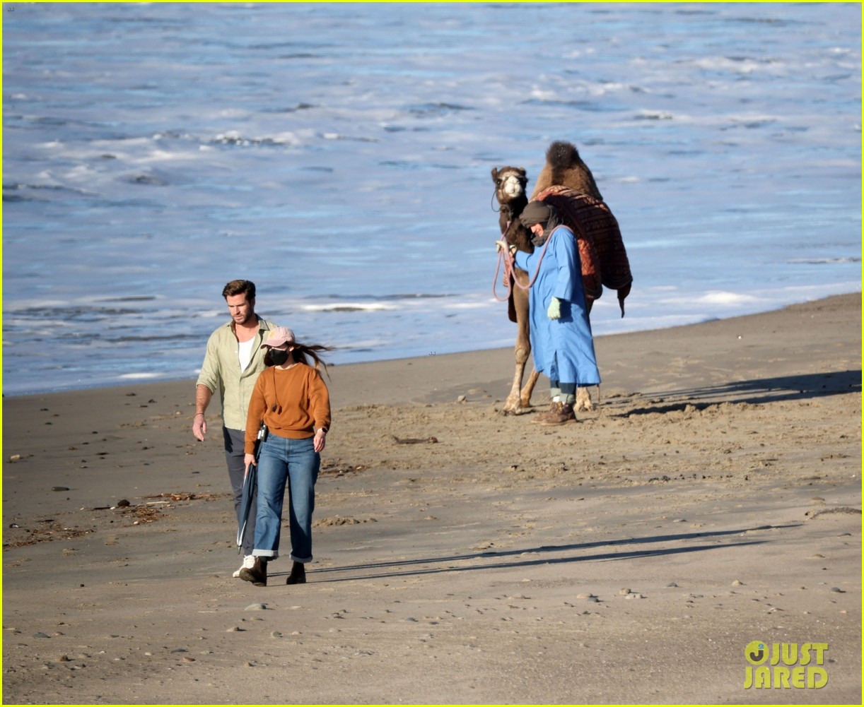 liam hemsworth films scenes with a camel lonely planet in malibu 134885856