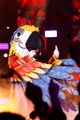 macaw masked singer clues 02