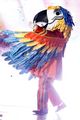 macaw masked singer clues 03