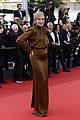 andie macdowell latest cannes premiere grey hair pics 23