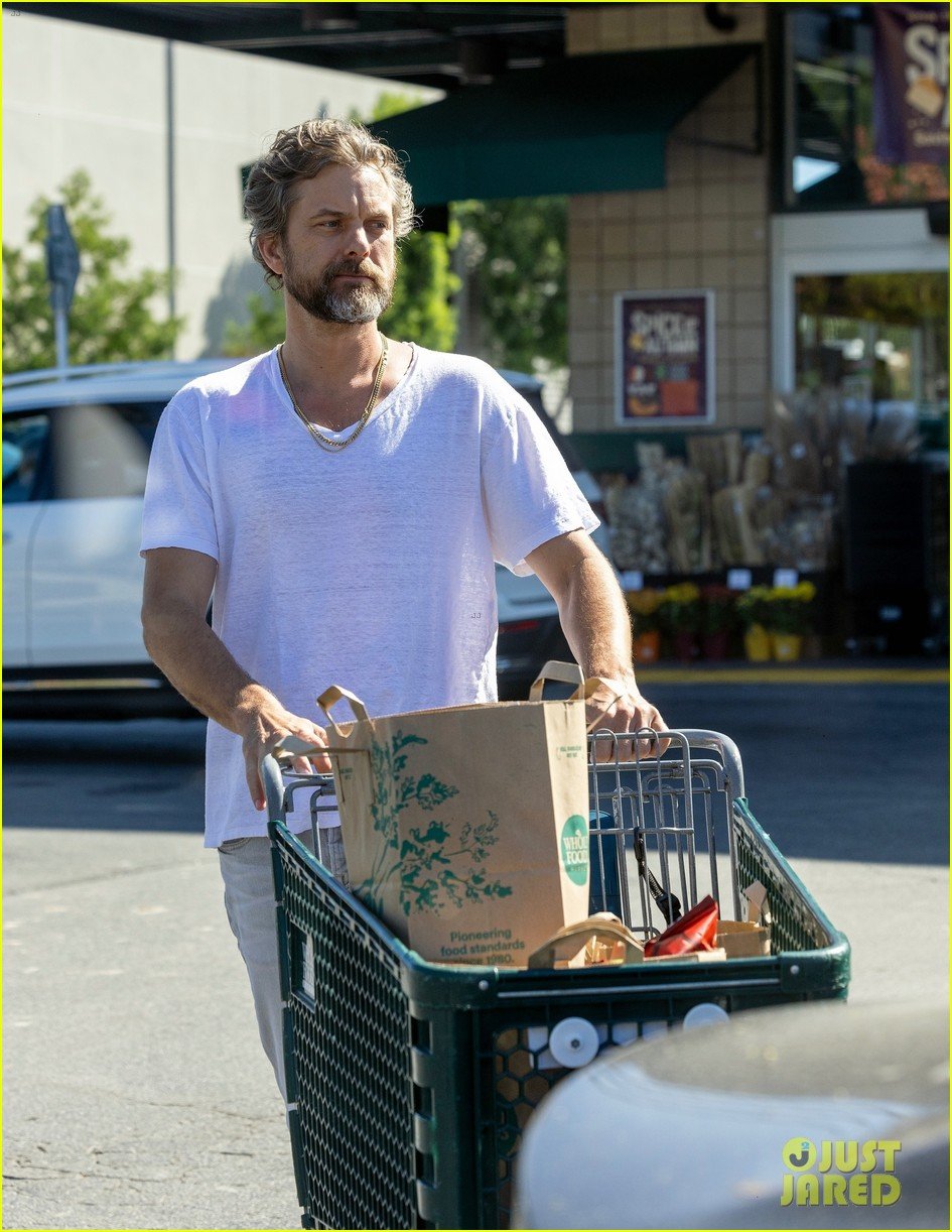 Joshua Jackson Spotted Grocery Shopping in L.A. Amid Split from Wife