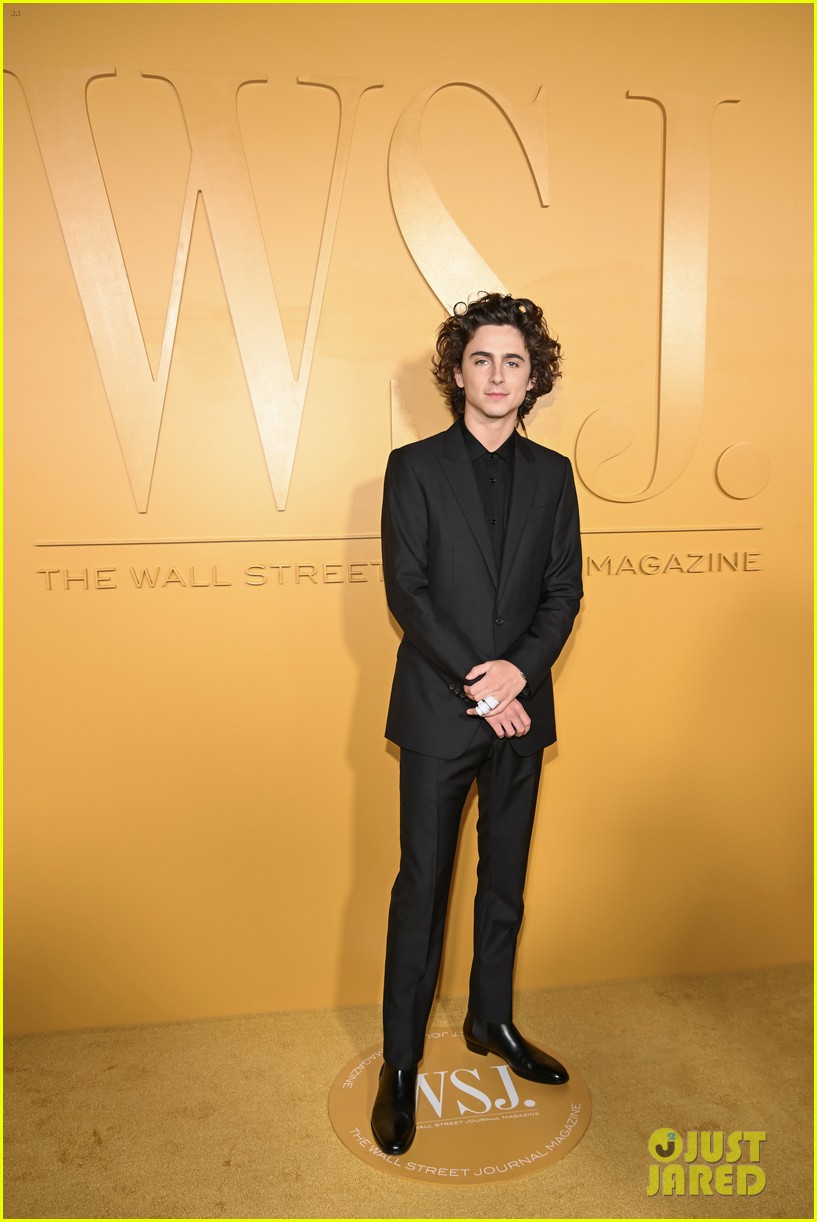 Kylie Jenner & Timothee Chalamet Walk the Red Carpet Separately at WSJ