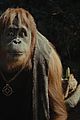 kingdom of the planet of the apes first stills 04