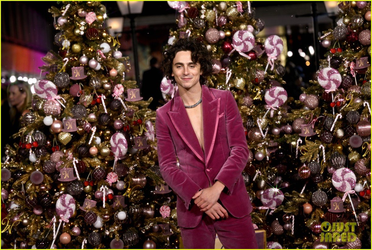 Timothee Chalamet Wears Pink Velvet Suit with No Shirt at 'Wonka' World