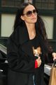 demi moore steps out with her dog pilaf in nyc 04