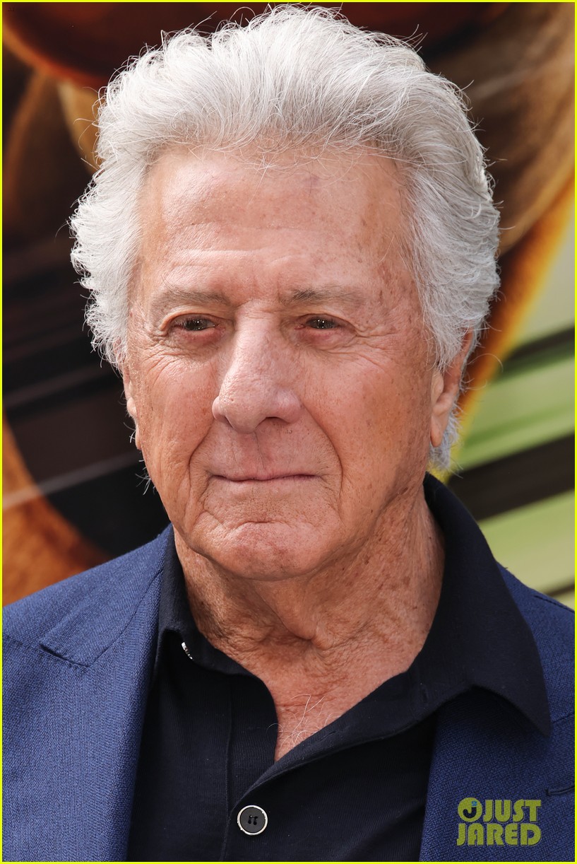 Jack Black & Awkwafina Are Ready to Fight at 'Kung Fu Panda 4' L.A. Red