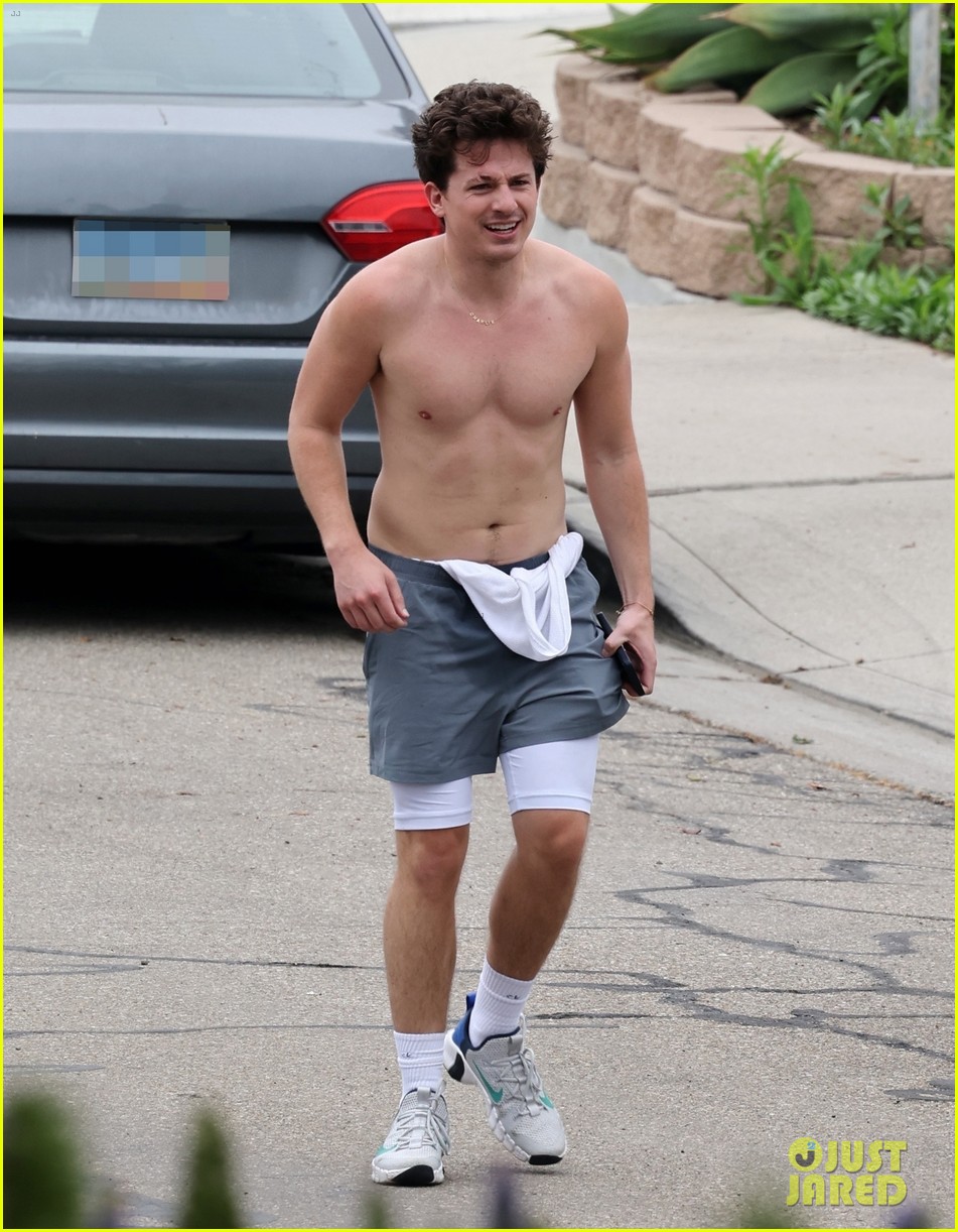 The Four Body Types, Fellow One Research - Celebrity Charlie Puth Body Type Two (BT2) Shape Physique