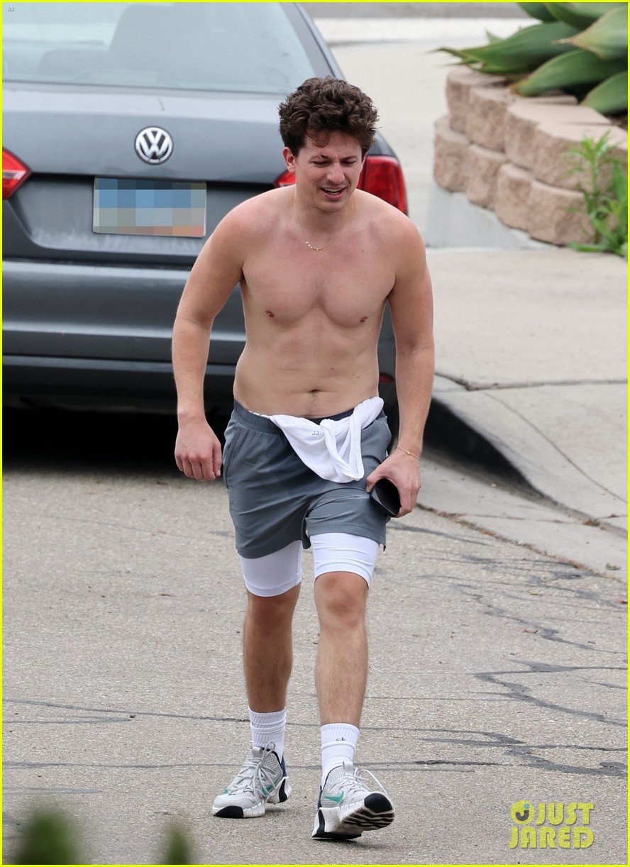 Charlie Puth Body Type Two Celebrity