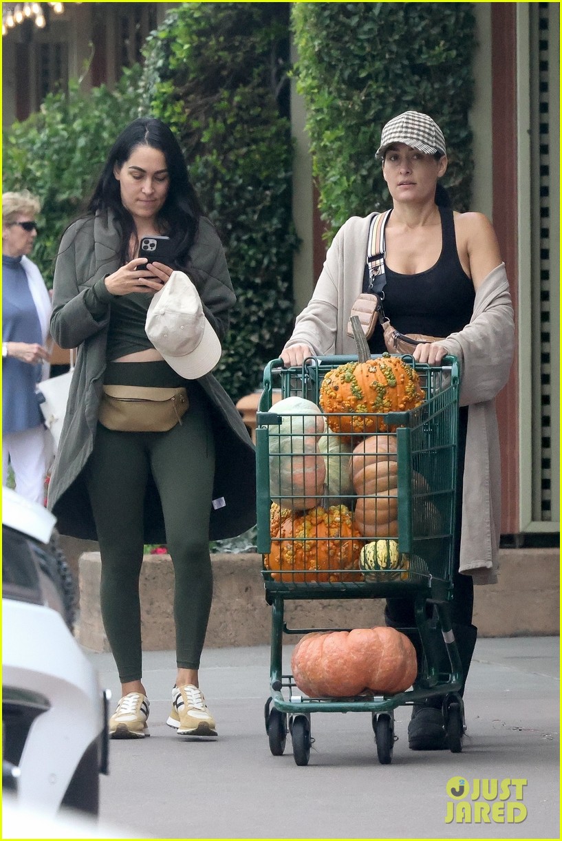 Nikki Garcia Runs Errands with Twin Sister Brie After Filing for