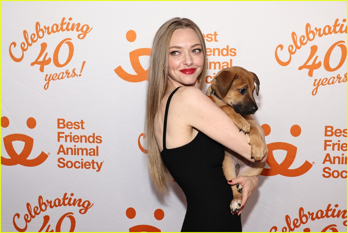 Amanda Seyfried Reveals Which of Her Movies Her 7YearOld is 'Obsessed