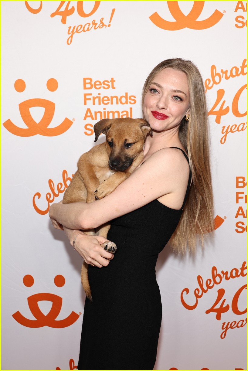 Amanda Seyfried Reveals Which of Her Movies Her 7YearOld is 'Obsessed