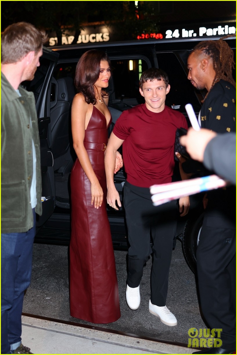 Zendaya visual data 4