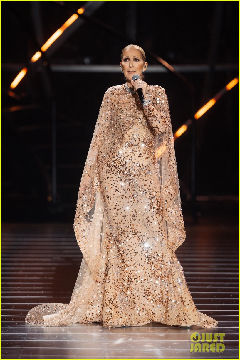 Photo celine dion elie saab show performance 50 Photo 5097815 Just