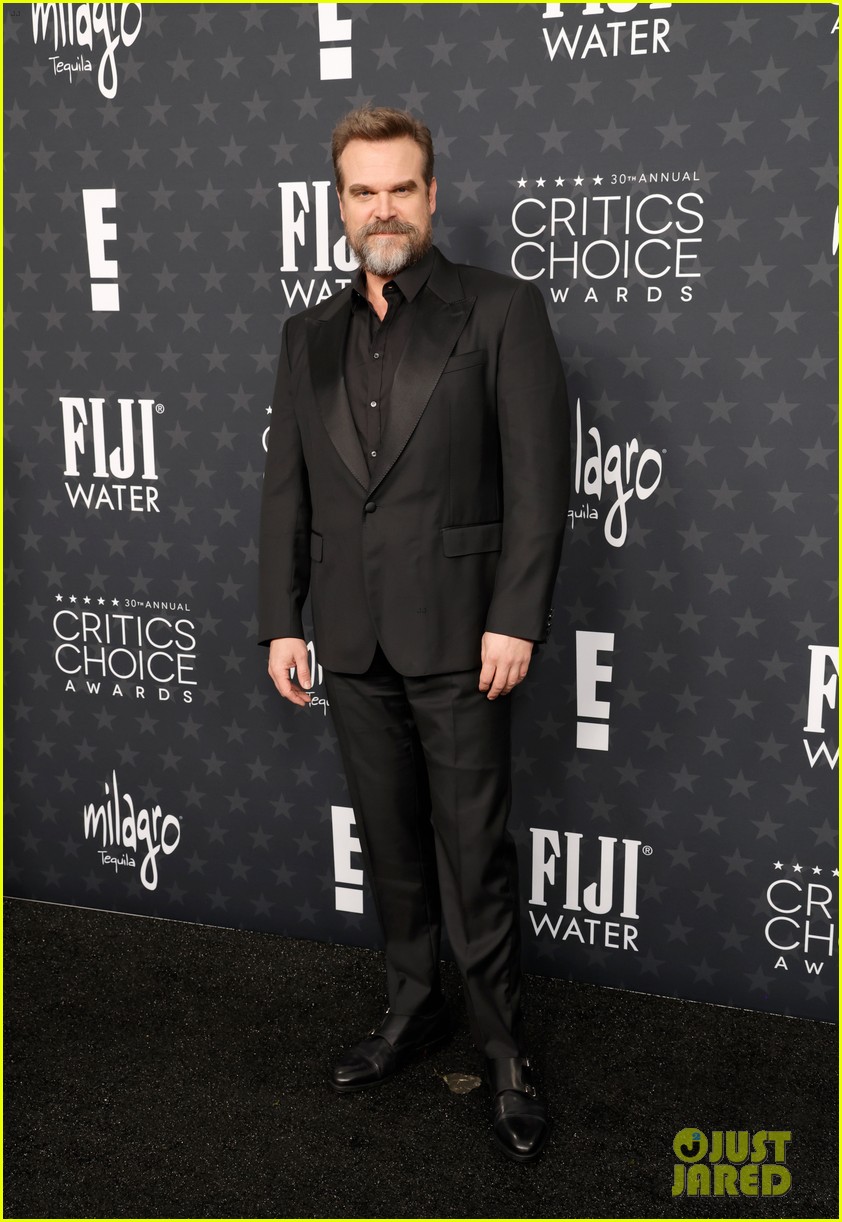David Harbour Goes Without Wedding Ring at Critics Choice Awards 2025