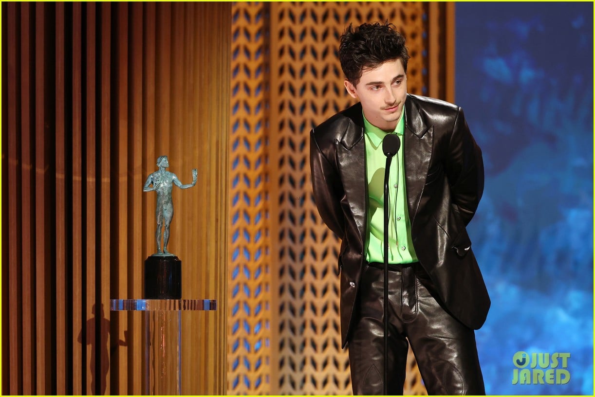 Timothee Chalamet Says He's 'In Pursuit of Greatness' After Winning