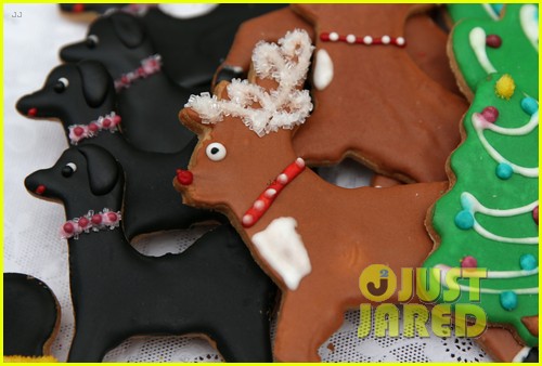 christmas cookies 035253478