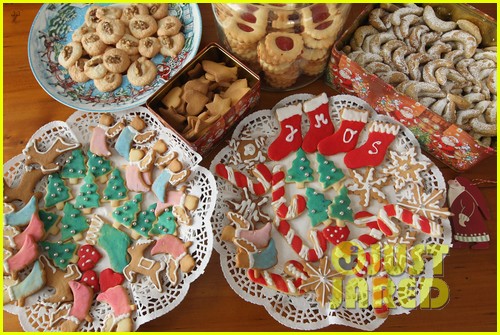 christmas cookies 055253480
