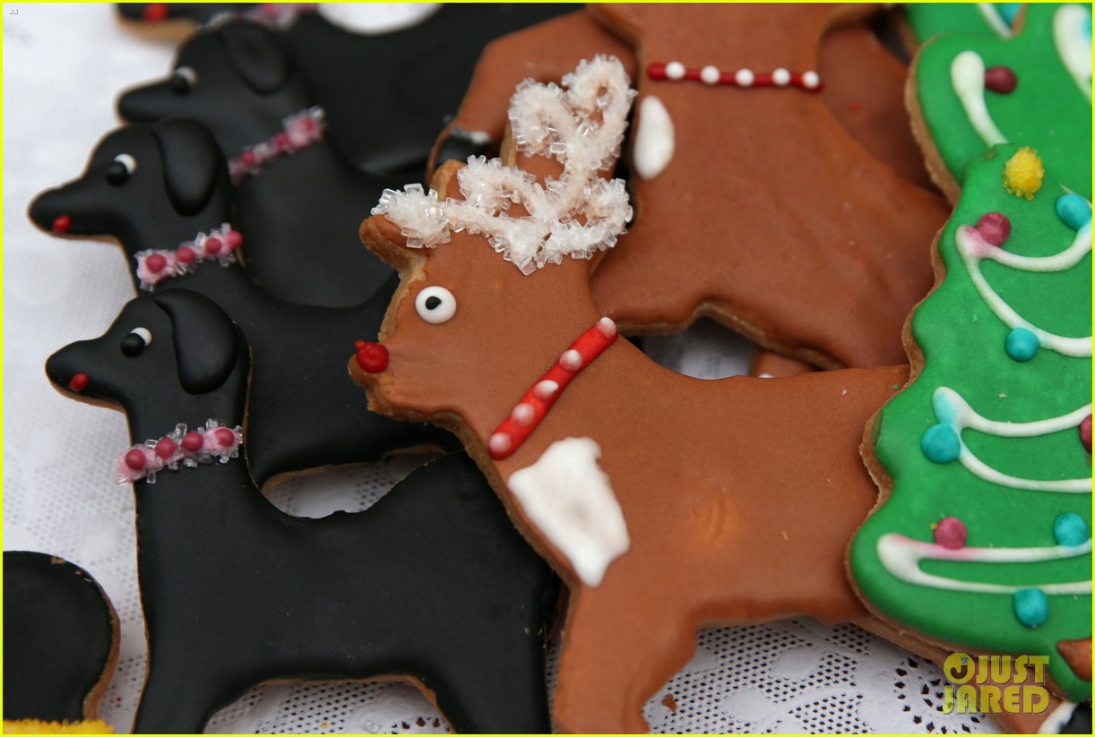 christmas cookies 025257726