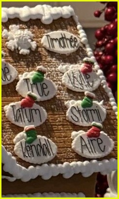 timothee chalamet gingerbread house 025258176