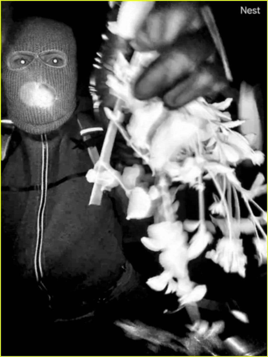 nancy guthrie suspect photos 025285058